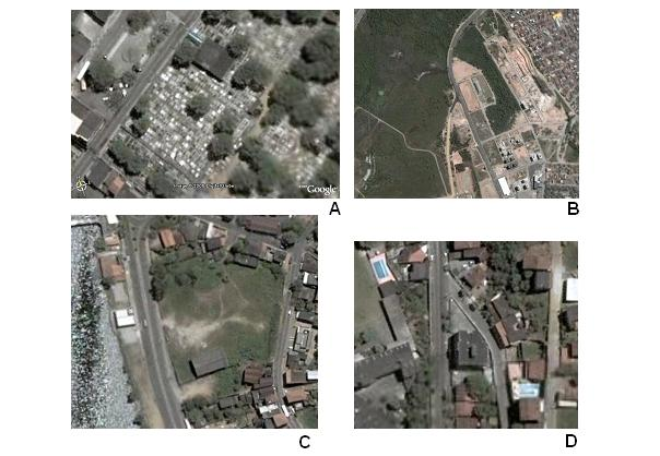 Imagens da superfície, obtidas com o Google Earth, permitiram uma busca mais rápida de áreas mais propícias para a desova do mosquito transmissor, visto que muitas destas áreas são de difícil acesso.