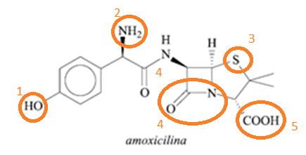 c)através de uma legenda adequada, identifique e indique os nomes das funções que apresentam o grupo hidroxila na estrutura da molécula da