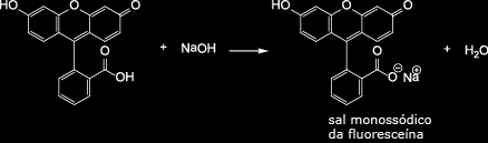 A função orgânica associada à hidroxila ligada ao benzeno é o fenol. Logo, o nome do composto é: 4- hidroxifenol.