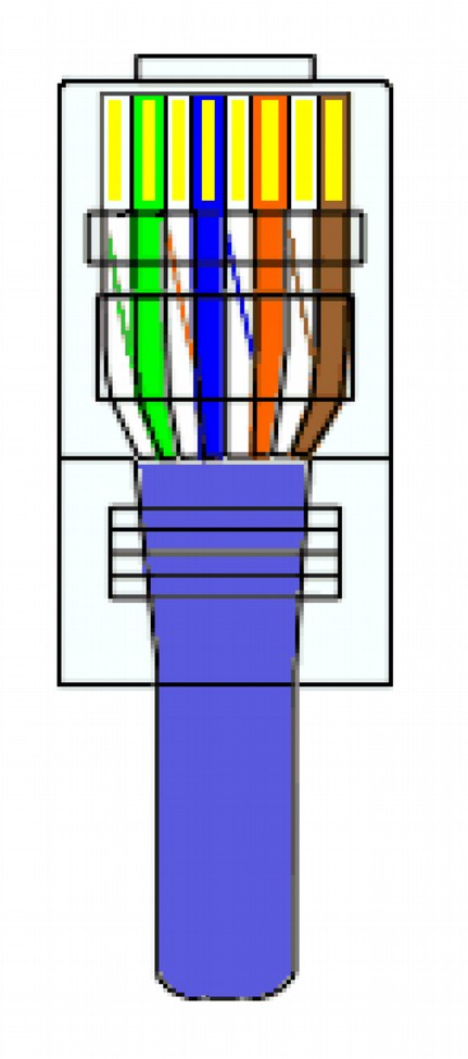 Conectores Padrão