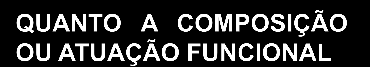 a) Singulares Um único agente/unipessoal; chefe e representante; b) Colegiados Integrados por vários