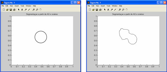 do objeto. Os parâmetros utlzados neste expermento foram: a= 0.0, b= 0.04, q = 5, p = 8, t= 0.5, γ = e M = 5.