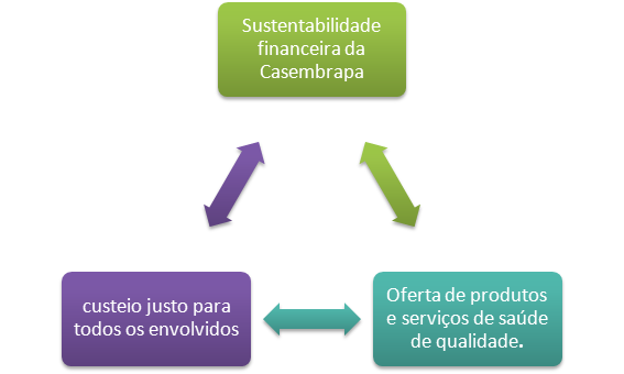 CENÁRIO FUTURO DA EMBRAPA Tendo em vista o Cenário atual, a Casembrapa quer adotar medidas agora que garantam o seu futuro.