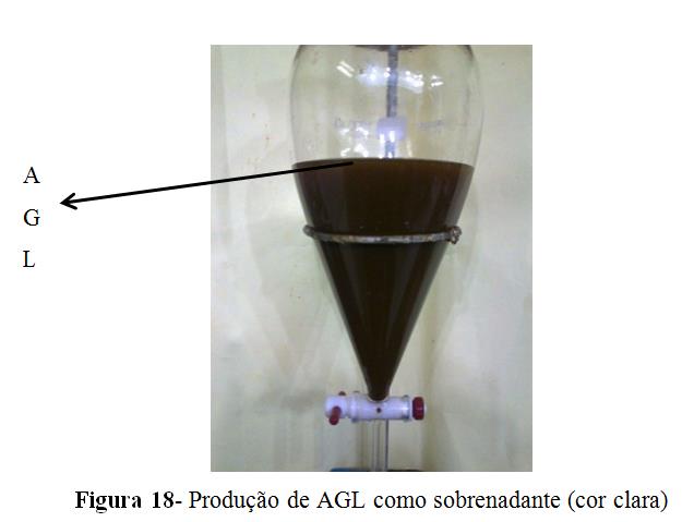 Pesquisas com Microalgas no