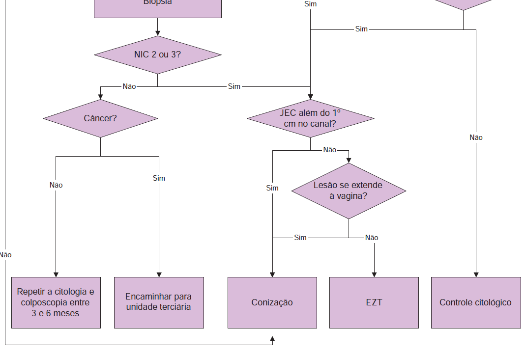 16 FLUXOGRAMA II: Recomendações de condutas para mulheres com diagnóstico citopatológico de HSIL Fonte: Diretrizes Brasileiras para o Rastreamento do Câncer de Colo de Útero (BRASIL, INCA; 2011) (6)