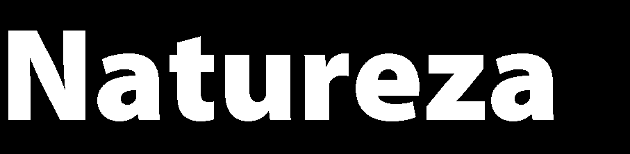 1. NÚMEROS E OPERAÇÕES: 1.1 Números naturais: ordem, operações e seus significados. 1.2 Números primos e compostos. 1.3 Divisibilidade: o maior divisor comum e o menor múltiplo comum.1.4 Decomposição em fatores primos e o Teorema Fundamental da Aritmética.