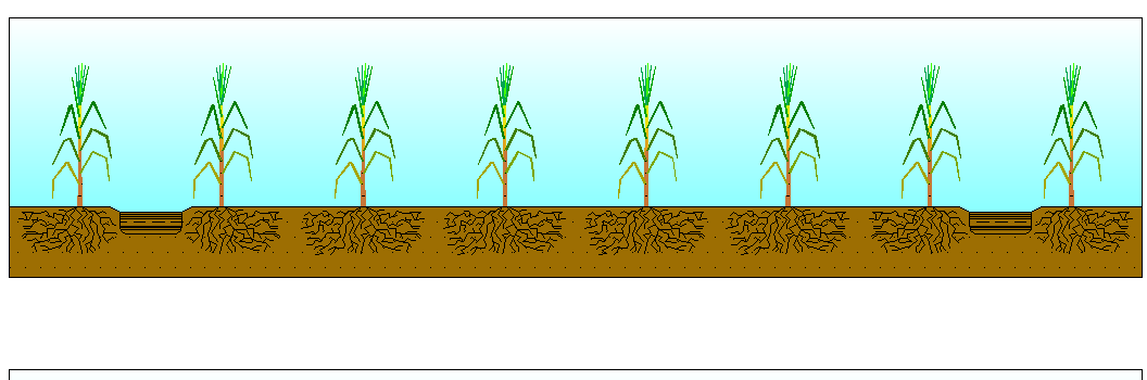 Canteirização Espaço para as Rodas e as