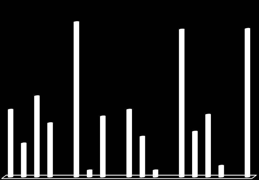 GRÁFICO 1- Dados referentes ao tempo de graduação, idade, nível de graduação; área de graduação; natureza do trabalho; tempo de permanência, concepção sobre o processo histórico do Serviço Social.