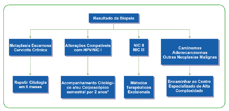 MS/INCA, 2006.