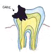 Odontologia Cuidando dos seus dentes Cuidados dentários são muito importantes para o Envelhecimento Saudável Escovar os dentes depois das refeições; Usar fio dental; Escovar os dentes ou próteses