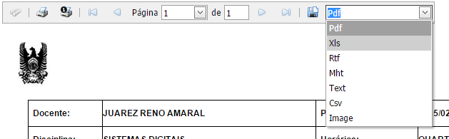 Clicando no relatório irá abrir o mesmo em uma nova janela (dependendo do relatório demora-se um pouco para abrir a janela).