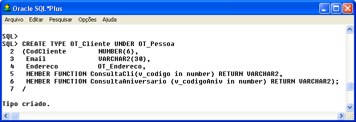 6. IMPLEMENTAÇÃO DOS MÉTODOS NO BANCO DE DADOS ORACLE 9I.