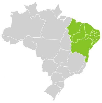 Na região Nordeste, há um grande déficit de trabalhos envolvendo essa flora aquática (Campelo et al., 2012). Matias e Nunes (2001) Matias et al. (2003) Pereira e Nascimento (2009) Sobral-Leite et al.