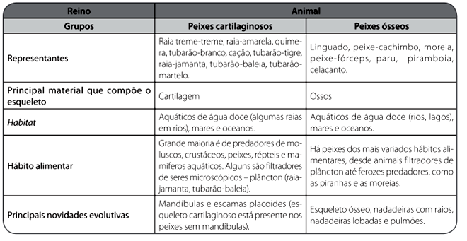 2. Em resumo VIII Capitulo 26 _ Anfíbios Atividade 1 (página 209) 1. Abaixo a) Terrestre aquático. b) Artrópodes, insetos. c) Brânquias, nadadeiras, corpo.