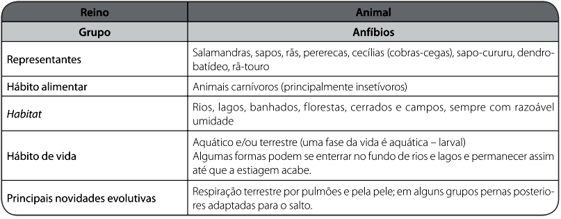 2. Vocabulário em inglês: Frogs: sapos. In love: apaixonado. Singing in the rain: cantando na chuva. Nobody: ninguém. a) Não, pois pertencem a espécies diferentes.