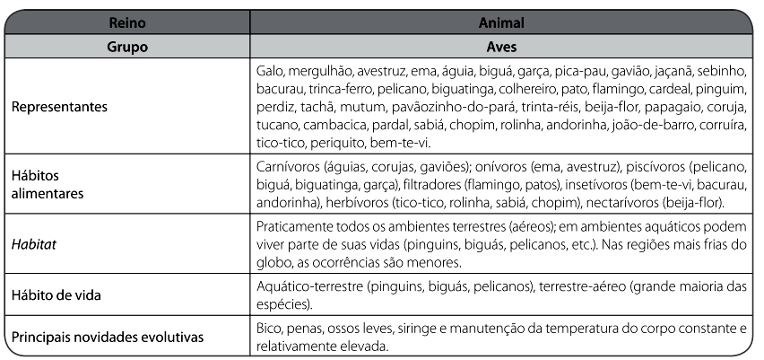 2. Esquema Atividades complementares (página 237) 1. Conheça as aves de sua cidade Vocês sabem quais ao pássaros que habitam nossa região?