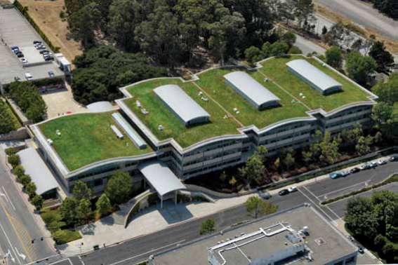Proehl S tudios/corbis/latinstock Edifício comercial com telhado verde. San Bruno, Califórnia, EUA. Telhados verdes são outra opção que combina beleza com preservação do meio ambiente.