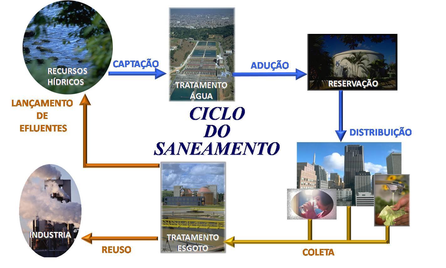 Ciclo do