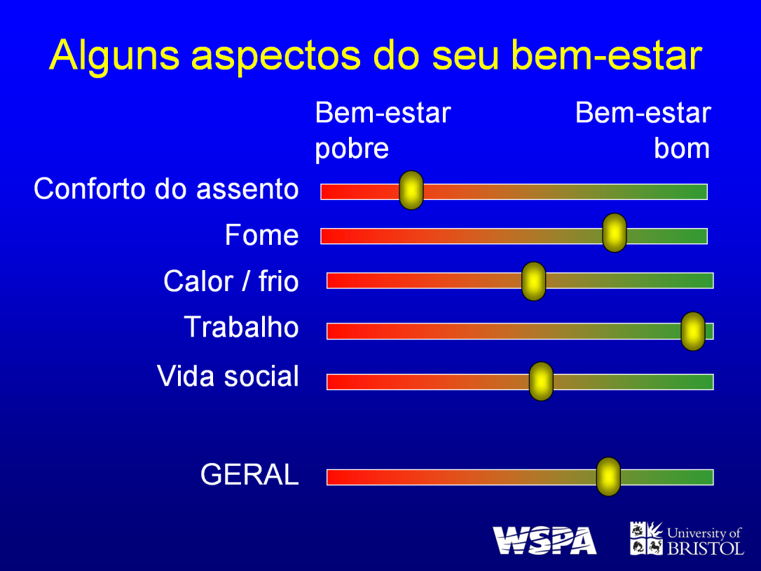 Em outras palavras, embora possamos descrever como estamos nos sentindo de forma geral, isso é afetado por muitos componentes que podem ser independentes um do outro.