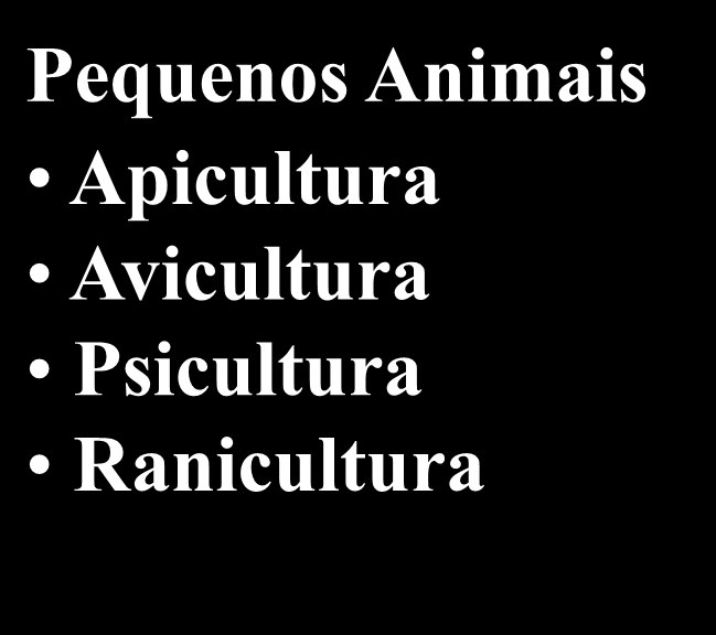 Pecuária-Grandes Animais Bovinos