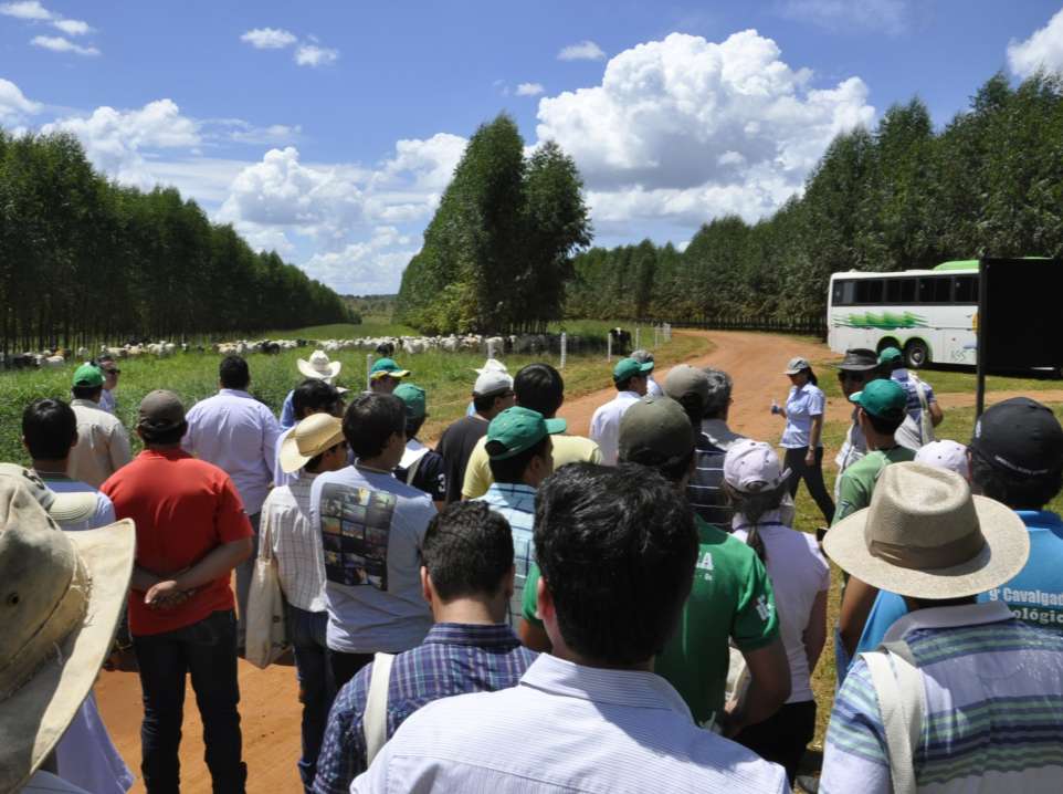 Fazenda Santa Brígida