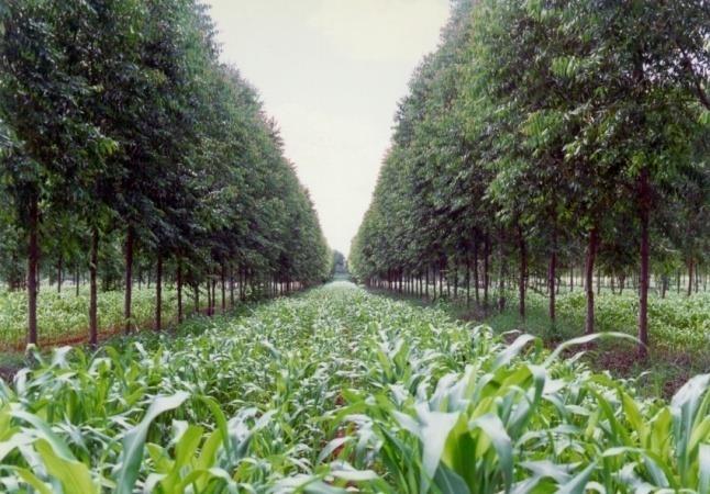 Secretaria de Desenvolvimento Agropecuário e Cooperativismo - SDC Ministério da Agricultura, Pecuária e Abastecimento - MAPA Políticas Públicas para o Desenvolvimento Agropecuário no Brasil Reunião