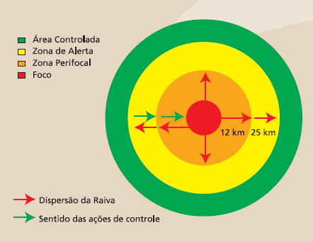 Modelo de Círculos C Concêntricos ntricos para Atuaçã ção o em Focos de Raiva: Medidas Sanitárias: