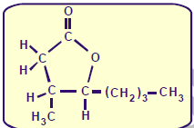 a) um éter cíclico, cuja molécula tem dois carbonos assimétricos. b) uma cetona cíclica, cuja molécula tem um carbono assimétrico.