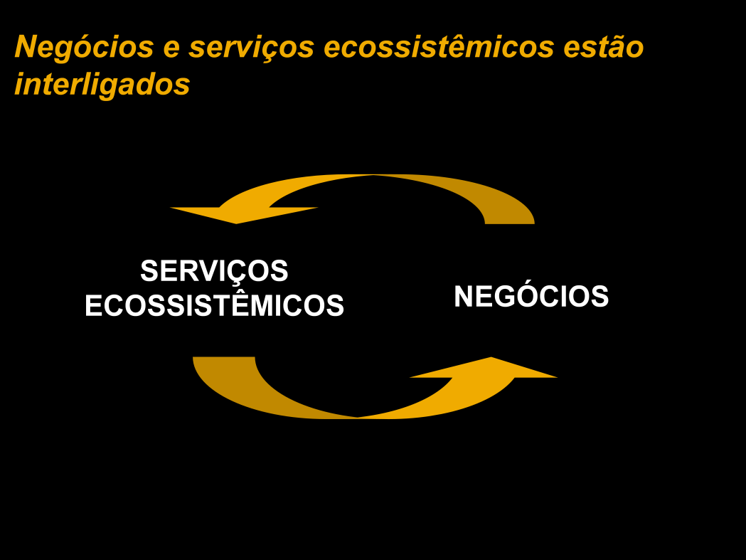 Estas tendências apontadas pela Avaliação de Ecossistemas do Milênio importam não só para os biólogos, mas também para as empresas.