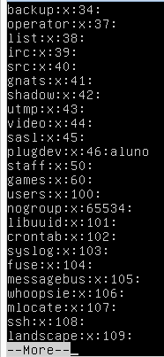 8) Filtrando a exibição de conteúdos no terminal com o comando grep: Agora vamos utilizar o comando grep para visualizar o conteúdo de arquivos, porém, exibir apenas as linhas que contenham alguma