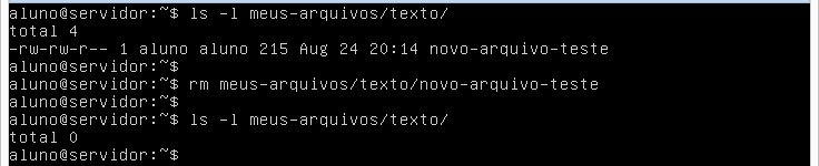 12) Apagando arquivo com o comando rm: Para apagar um determina