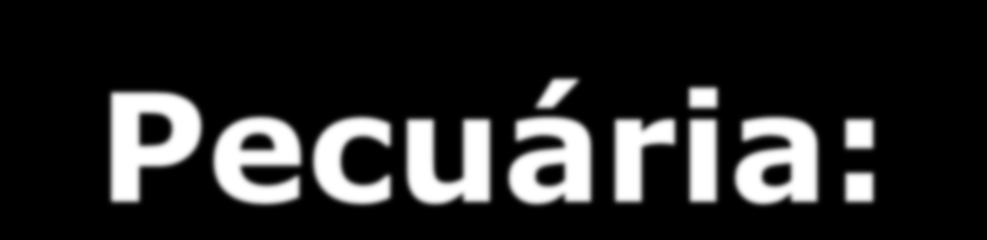 Pecuária: Destaca-se como a principal atividade econômica praticada de forma extensiva em grandes latifúndios; Além