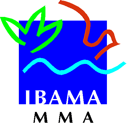 Ministério do Meio Ambiente Instituto Brasileiro do Meio Ambiente e dos Recursos Naturais Renováveis - IBAMA Diretoria de Licenciamento Ambiental NLA/AP 1.