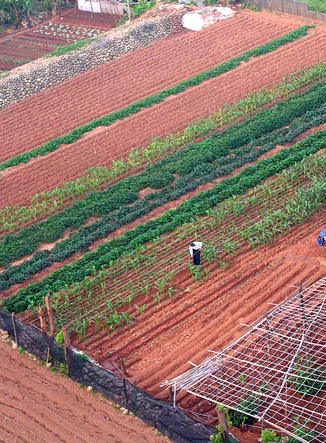 9/1 Metáfora: agricultura Mineração de dados não é mágica, é como agricultura