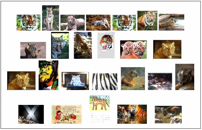 Mineração de Imagens Exemplos Filtragem de resultados de sistemas de busca de imagem por textos adjacentes.