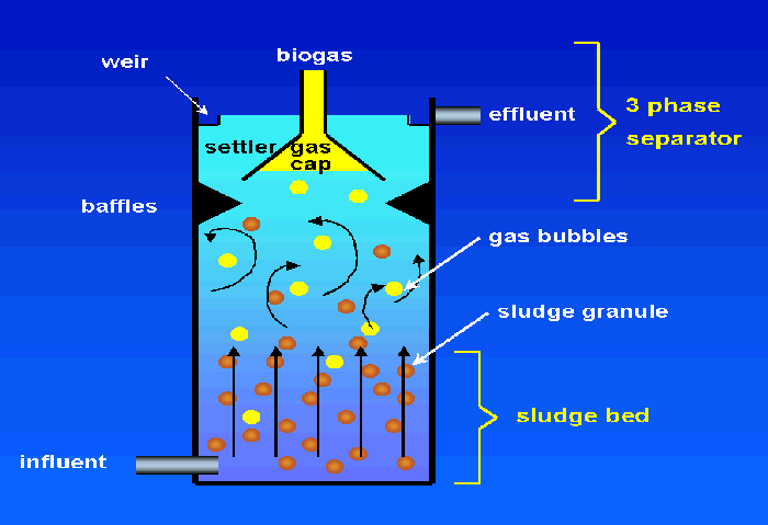 Upward-flow Anaerobic Sludge