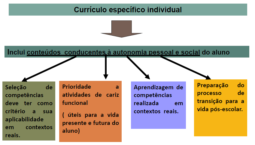 Pretende-se que estes currículos: tenham um cariz funcional, ou seja, as atividades propostas têm que ser úteis para a vida presente e futura (pós- escolar) do aluno; a seleção das competências a