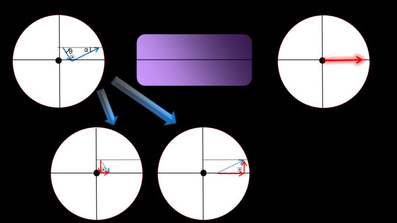 passagem pelo cristal de Nd:YAG. SEGUNDA PASSAGEM FIGURA 8: Esquema de um feixe depolarizado ao passar pela segunda vez em um cristal de Nd:YAG.