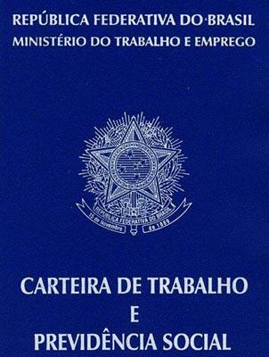 Trabalhadores com carteira de trabalho assinada setor privado Em % Total Recife Salvador Belo Horizonte Rio de Janeiro São Paulo Porto Alegre 2003 39,7 31,0 36,0 39,7 37,0 42,9 42,0 2004 39,2 31,8