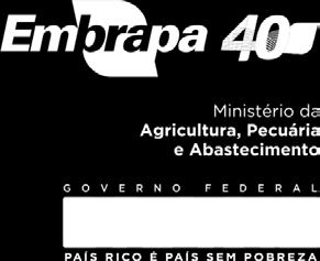 8 Base de dados Satélites de Monitoramento Conclusões Com este trabalho, a equipe espera contribuir para disseminar informações atualizadas aos usuários de geotecnologias no Brasil.