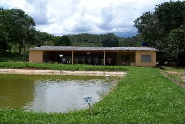 A Estação de Piscicultura de Itutinga tem atualmente 08 tanques escavados em terra que perfazem uma área total de lâmina d água de 2.