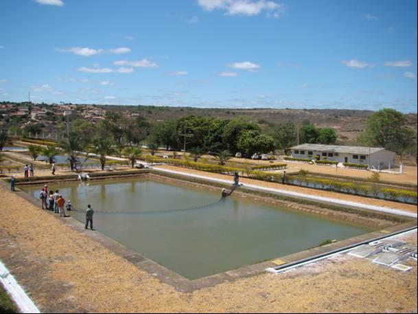 O programa de peixamento coordenado pela Estação de Piscicultura de Machado Mineiro abrange atualmente os reservatórios de Irapé e de Machado Mineiro, localizados respectivamente nas bacias dos rios