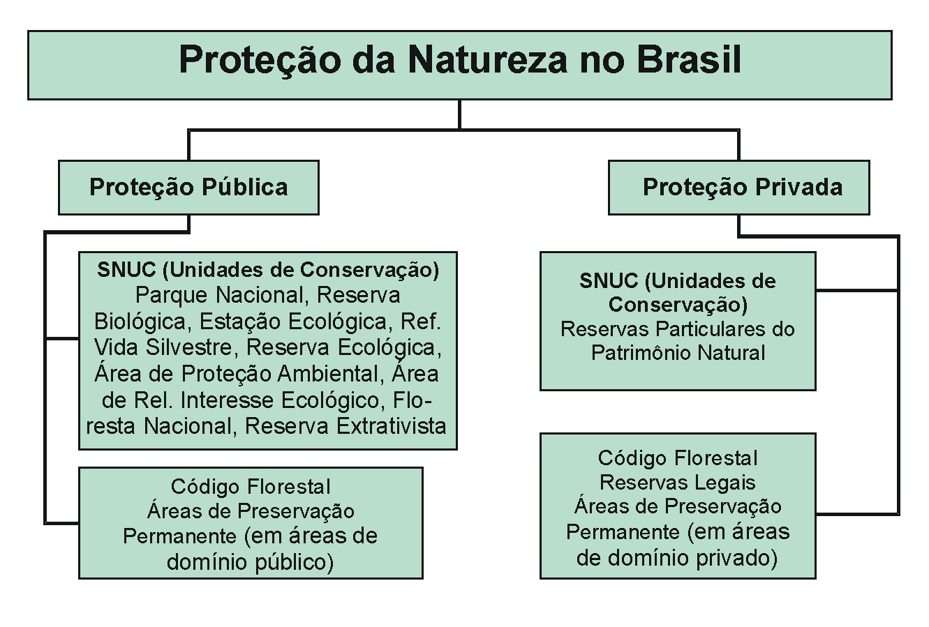 Esquema da proteção pública e privada no Brasil em resposta aos dois principais dispositivos