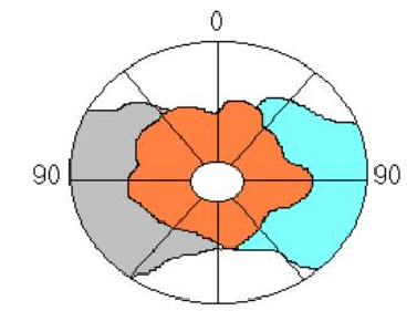 2 of 12 02-Aug-06 09:38 PM TABELA 1 TABELAS DE SNELLEN WECKER E EFICIÊNCIA VISUAL CONJUGADA VISÃO CENTRAL COM VISÃO PERIFÉRICA SNELLEN WECKER EFICIÊNCIA VISUAL EM PERCENTAGEM 20/20 1 100% 20/25 0,8