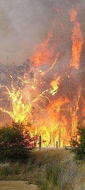 Taking a national, all-hazards view Extreme Wind 200 0 200 400 600 Kilometres NA Extreme Rainfall 200 NT 0 200 400 600 Kilometres Heat NA NT QLD QLD WA SA