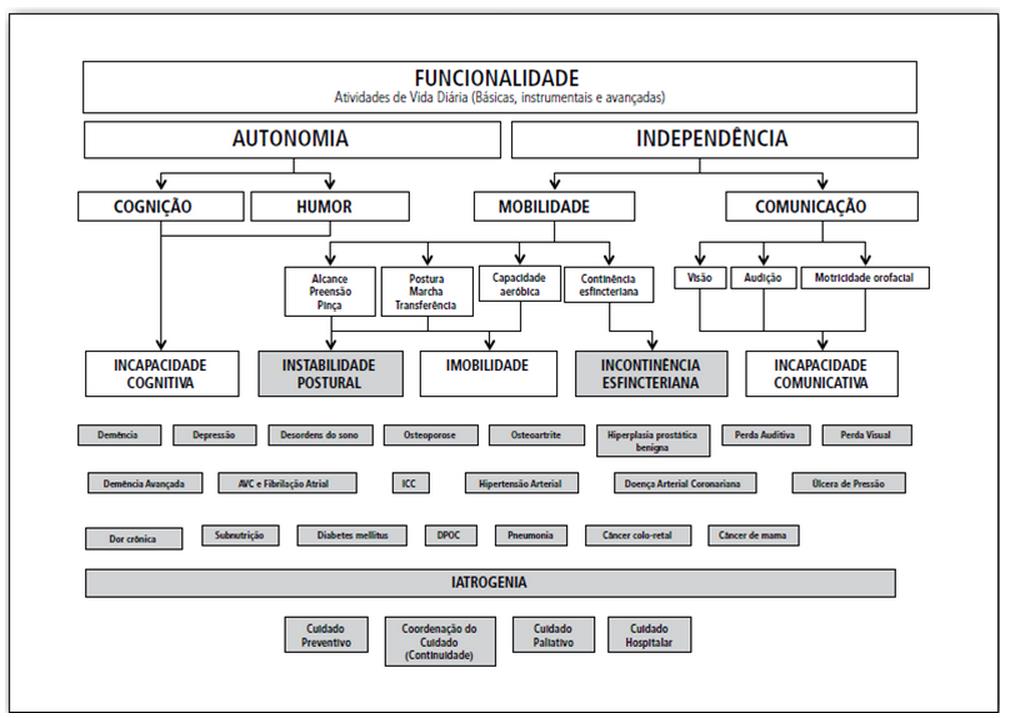 Condições Clínicas Prioritárias, Segundo a ACOVE 3 Fonte: MORAES, 2012.