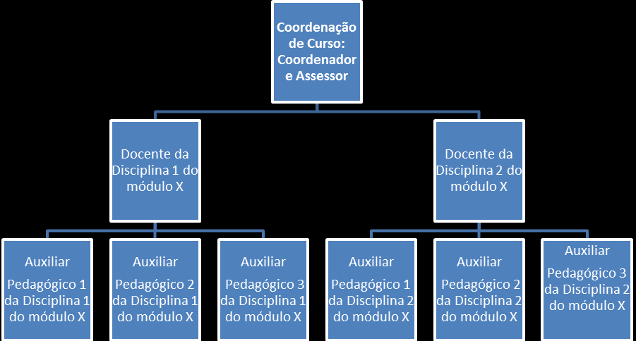 Figura 105: Organização dos Cursos de Graduação da EaD do Centro Universitário do Instituto de Ensino Superior COC Assim, para atender a uma fragilidade apontada por meio do relato dos estudantes nas