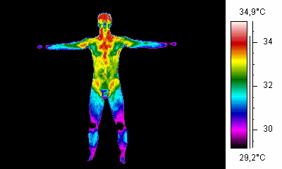 31 Temperatura Interna: também designada temperatura basal é a temperatura dos tecidos mais profundos (cérebro, coração e órgãos abdominais).