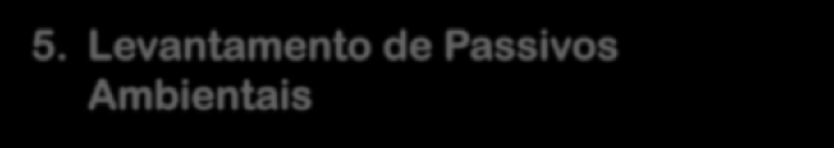 Levantar o passivo ambiental de um empreendimento significa identificar e caracterizar os efeitos ambientais adversos, de natureza física, e