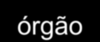 Inscrição no CNPJ: Preenchimento de formulário eletrônico na Internet.